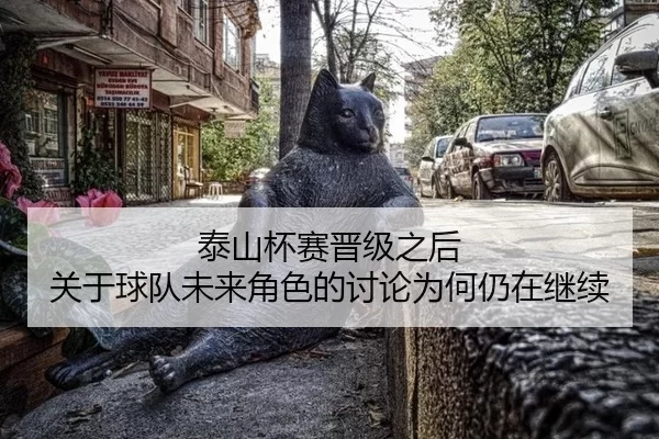泰山杯赛晋级之后 关于球队未来角色的讨论为何仍在继续